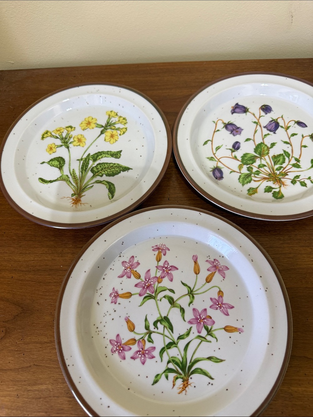 Hearthside Floral Stoneware Dinner Plates - Set of 3 (Pink, Yellow, Purple)